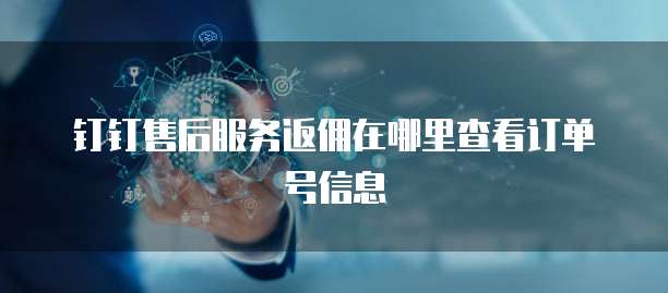 钉钉售后服务返佣在哪里查看订单号信息