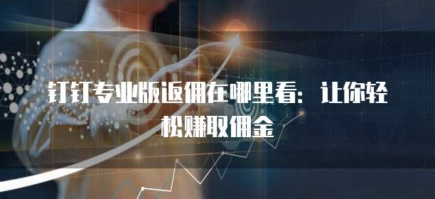 钉钉专业版返佣在哪里看:让你轻松赚取佣金