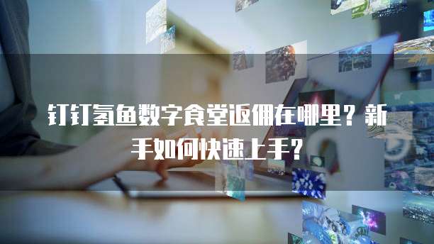 钉钉氢鱼数字食堂返佣在哪里?新手如何快速上手?