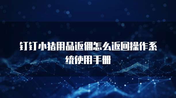 钉钉小猪用品返佣怎么返回操作系统使用手册