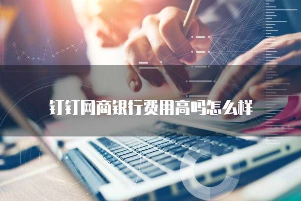 钉钉网商银行费用高吗怎么样