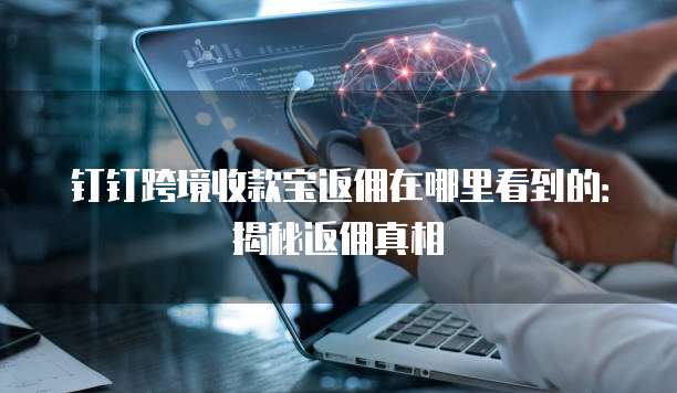 钉钉跨境收款宝返佣在哪里看到的:揭秘返佣真相
