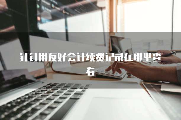 钉钉用友好会计续费记录在哪里查看
