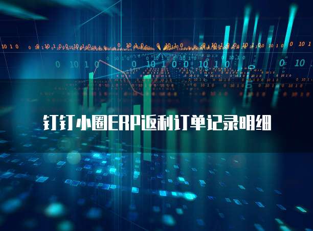 钉钉小圈ERP返利订单记录明细
