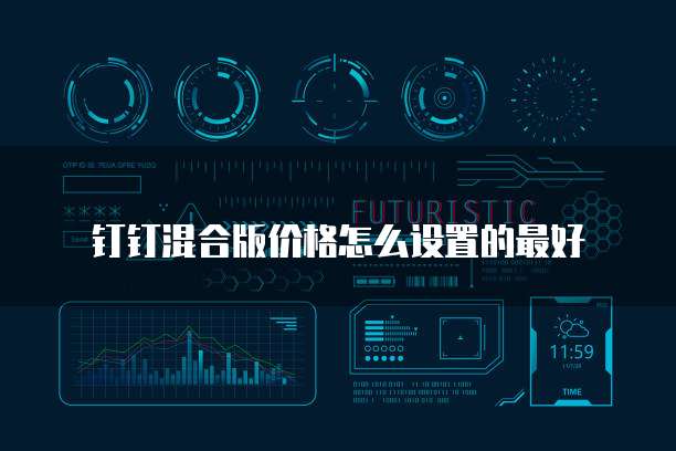 钉钉混合版价格怎么设置的最好
