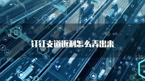 钉钉支道返利怎么弄出来