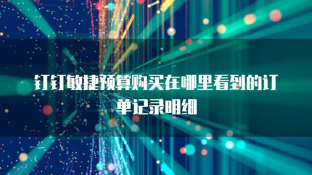 钉钉敏捷预算购买在哪里看到的订单记录明细