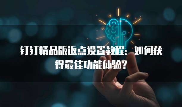 钉钉精品版返点设置教程:如何获得最佳功能体验?