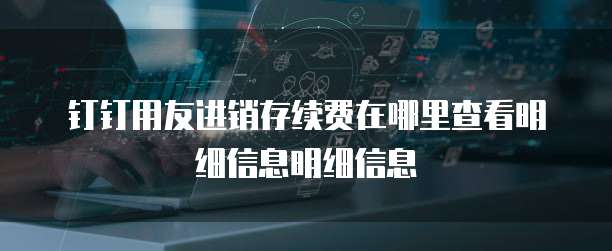 钉钉用友进销存续费在哪里查看明细信息明细信息