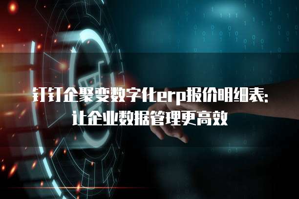 钉钉企聚变数字化erp报价明细表: 让企业数据管理更高效