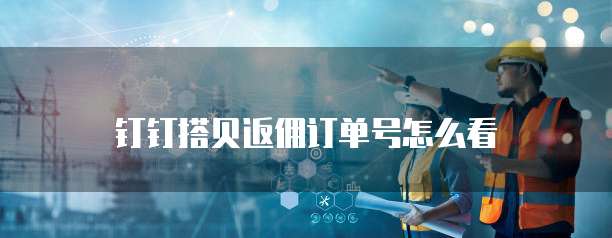 钉钉搭贝返佣订单号怎么看