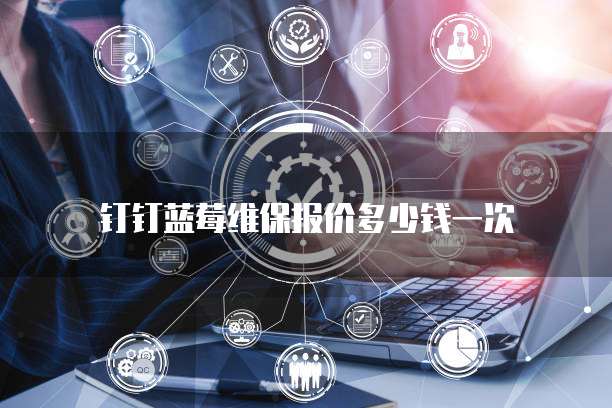 钉钉蓝莓维保报价多少钱一次