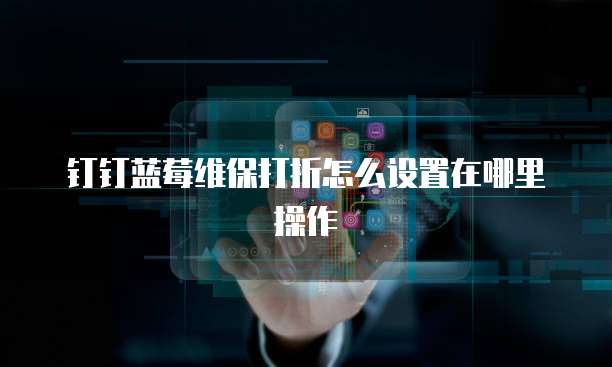 钉钉蓝莓维保打折怎么设置在哪里操作