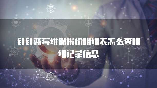 钉钉蓝莓维保报价明细表怎么查明细记录信息