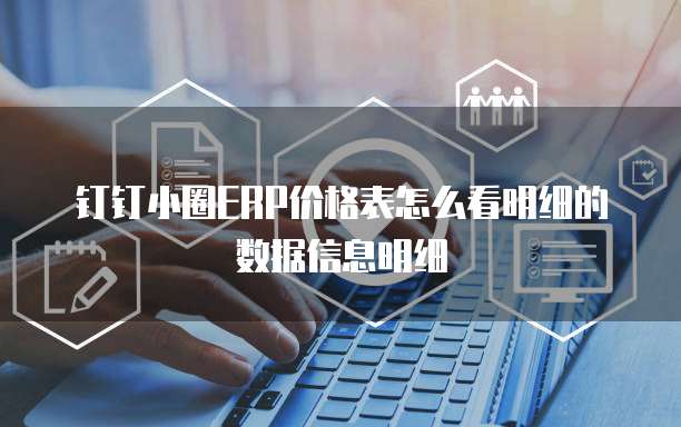 钉钉小圈ERP价格表怎么看明细的数据信息明细