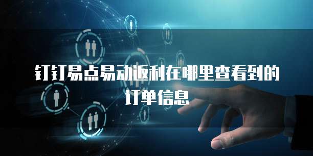 钉钉易点易动返利在哪里查看到的订单信息