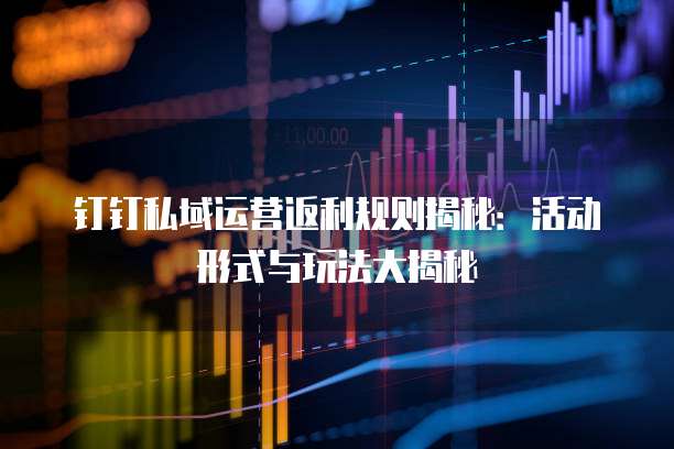 钉钉私域运营返利规则揭秘:活动形式与玩法大揭秘