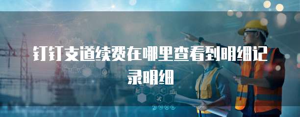 钉钉支道续费在哪里查看到明细记录明细
