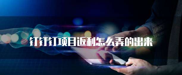 钉钉钉项目返利怎么弄的出来
