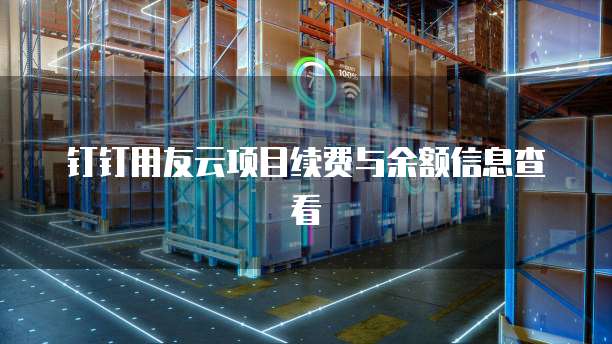 钉钉用友云项目续费与余额信息查看