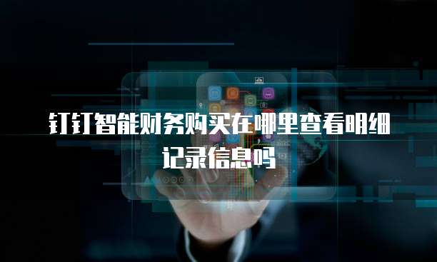 钉钉智能财务购买在哪里查看明细记录信息吗