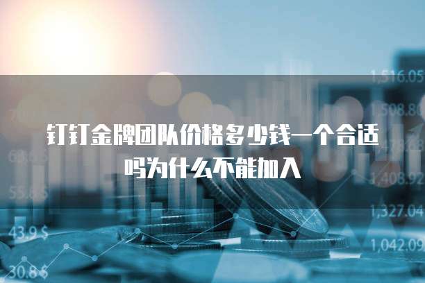 钉钉金牌团队价格多少钱一个合适吗为什么不能加入