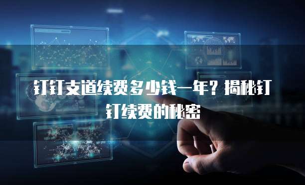 钉钉支道续费多少钱一年？揭秘钉钉续费的秘密
