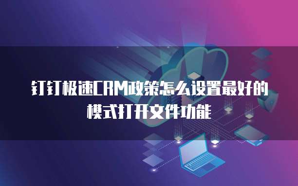 钉钉极速CRM政策怎么设置最好的模式打开文件功能