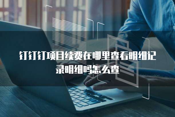 钉钉钉项目续费在哪里查看明细记录明细吗怎么查