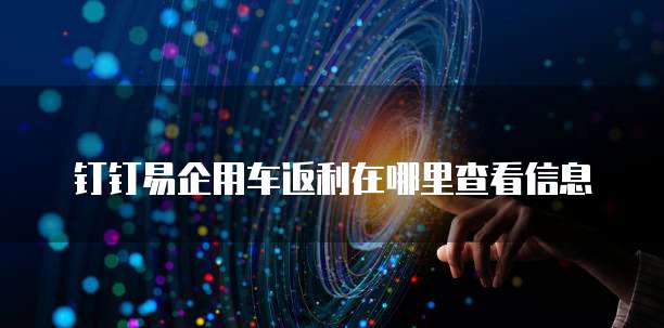 钉钉易企用车返利在哪里查看信息