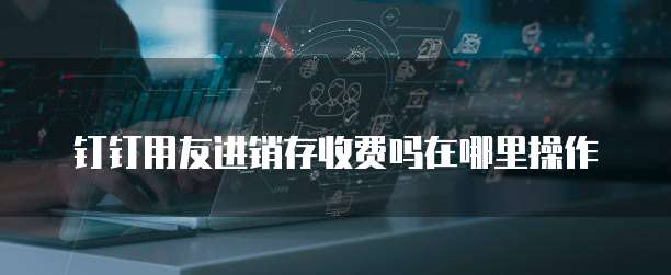钉钉用友进销存收费吗在哪里操作