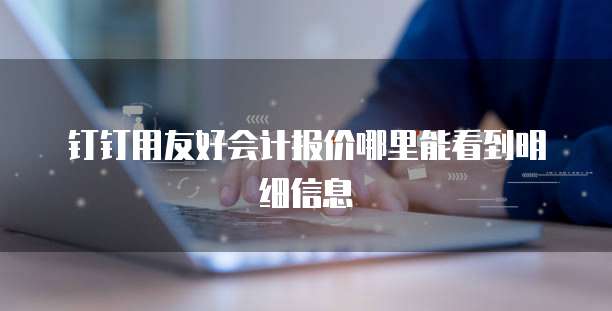 钉钉用友好会计报价哪里能看到明细信息