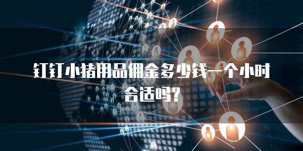 钉钉小猪用品佣金多少钱一个小时合适吗?