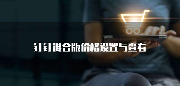钉钉混合版价格设置与查看