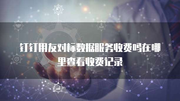 钉钉用友对标数据服务收费吗在哪里查看收费记录
