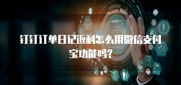 钉钉订单日记返利怎么用微信支付宝功能吗?
