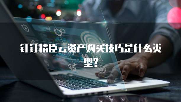 钉钉精臣云资产购买技巧是什么类型?