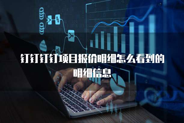 钉钉钉钉项目报价明细怎么看到的明细信息