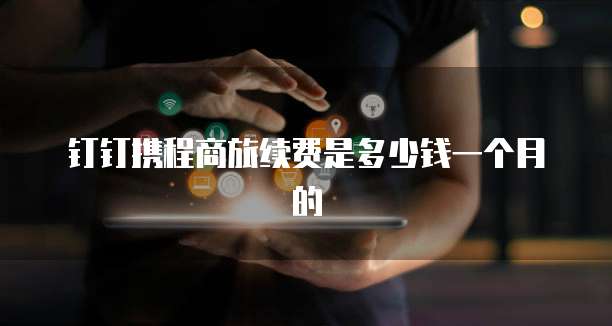 钉钉携程商旅续费是多少钱一个月的
