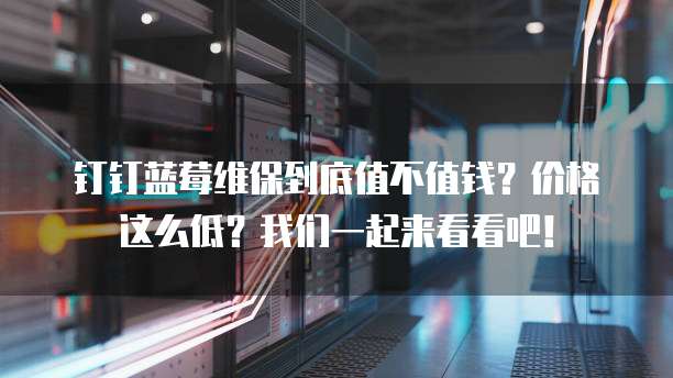 钉钉蓝莓维保到底值不值钱?价格这么低?我们一起来看看吧!