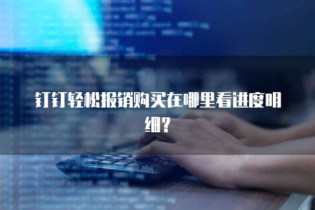 钉钉轻松报销购买在哪里看进度明细?