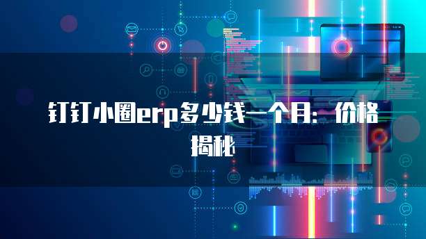 钉钉小圈erp多少钱一个月:价格揭秘