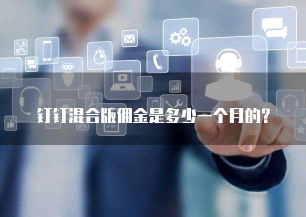 钉钉混合版佣金是多少一个月的?