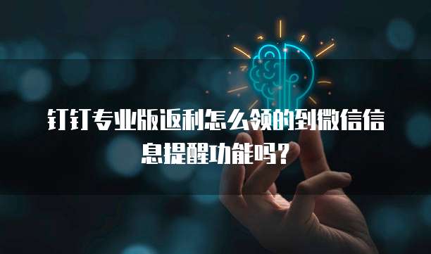 钉钉专业版返利怎么领的到微信信息提醒功能吗?