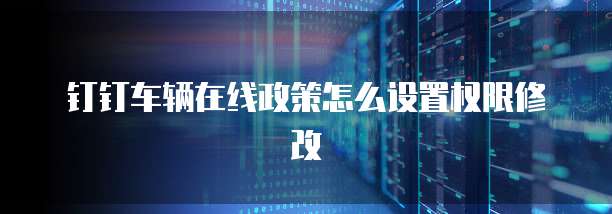 钉钉车辆在线政策怎么设置权限修改