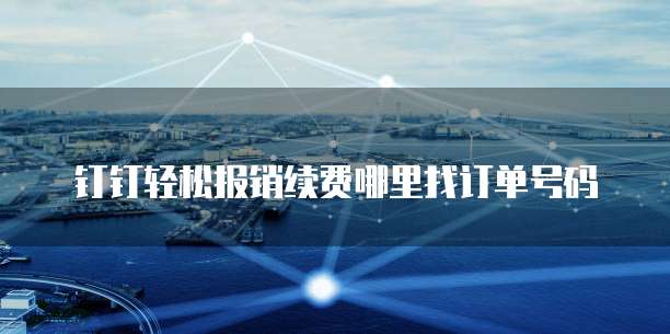 钉钉轻松报销续费哪里找订单号码