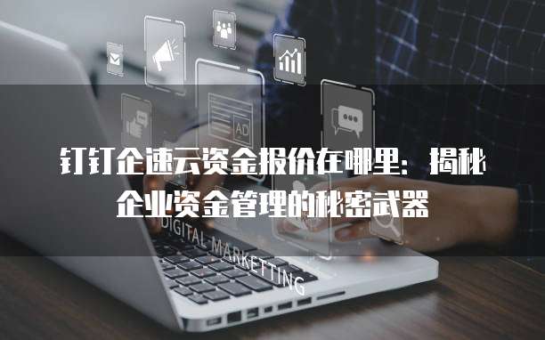 钉钉企速云资金报价在哪里：揭秘企业资金管理的秘密武器