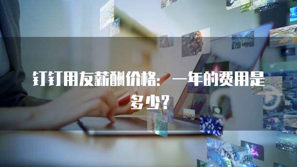 钉钉用友薪酬价格:一年的费用是多少?