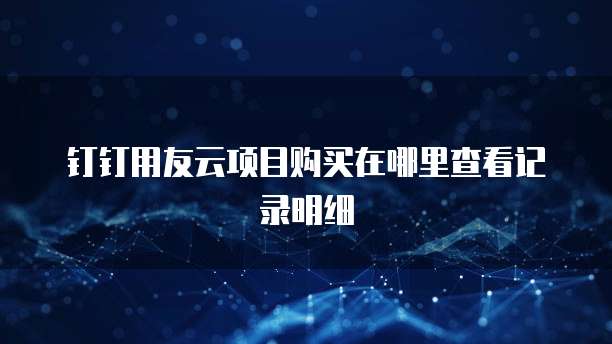 钉钉用友云项目购买在哪里查看记录明细
