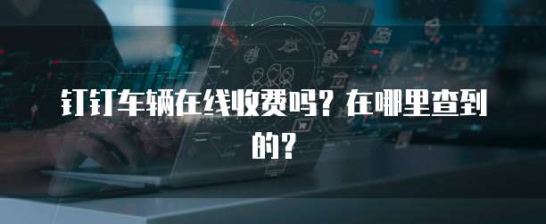 钉钉车辆在线收费吗?在哪里查到的?